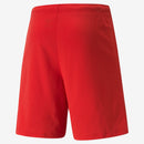 Puma teamRISE Shorts - La Liga Soccer