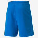 Puma teamRISE Shorts - La Liga Soccer