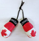 Country Boxing Gloves - La Liga Soccer