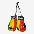 Country Boxing Gloves - La Liga Soccer