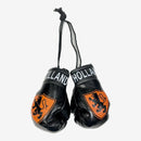 Country Boxing Gloves - La Liga Soccer