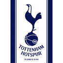 Assorted Football Posters (61cm x 91.5cm) - La Liga Soccer