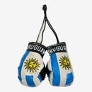 Country Boxing Gloves - La Liga Soccer
