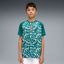 Puma Kids’ Portugal 2026 Warm Up Jersey - La Liga Soccer