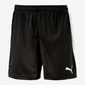 Puma Pitch Shorts