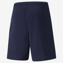 Puma teamRISE Shorts - La Liga Soccer