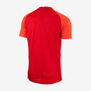 Men's Nike Canada 2022 Replica Jersey - La Liga Soccer