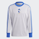 Men's adidas Italy Icon Goalkeeper Jersey - La Liga Soccer