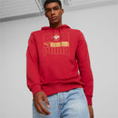 Puma Serbia FtblCORE Hoody - La Liga Soccer
