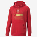 Puma Serbia FtblCORE Hoody - La Liga Soccer